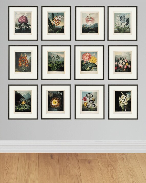 Antique Flower Art Print Set: Victorian Botanical Wall Art