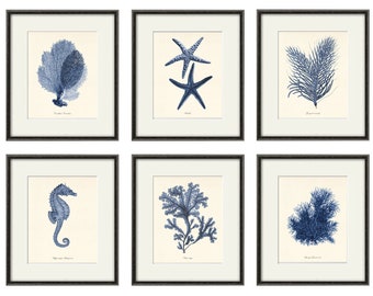 Nautical art print navy blue art Sea coral art print set of 6 antique wall art beach Ocean art print Sea art print Victorian wall art coral