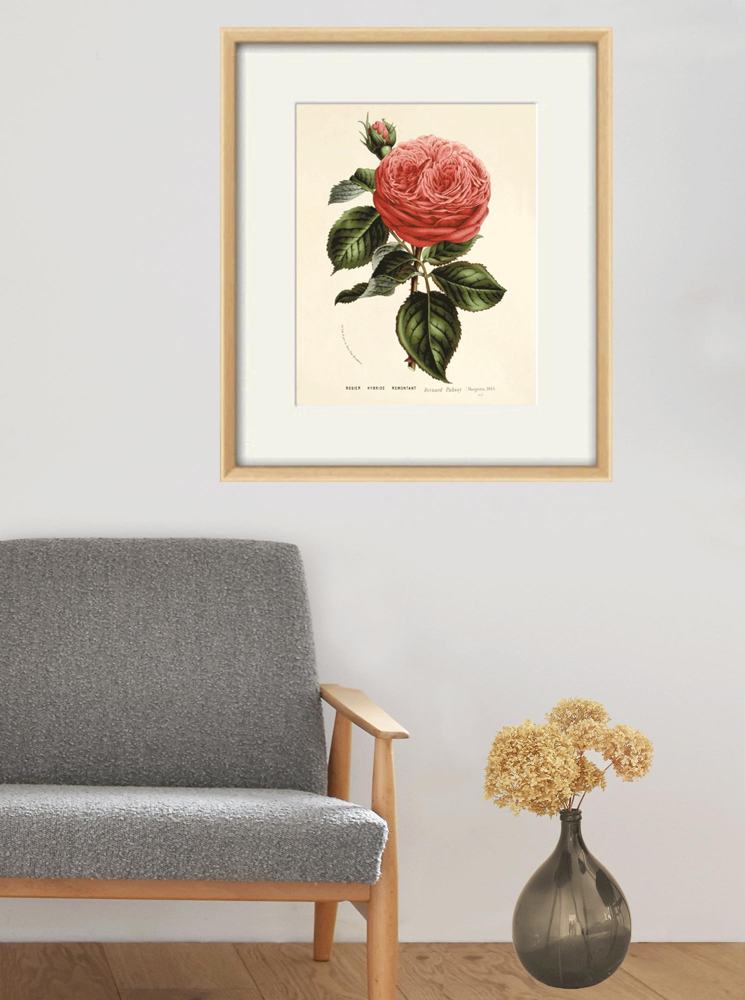 Antique Red Rose Print: Victorian Botanical Wall Art - Etsy