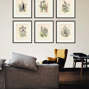 Antique Botanical Prints SET of 6 Botanical Art Prints Flower - Etsy