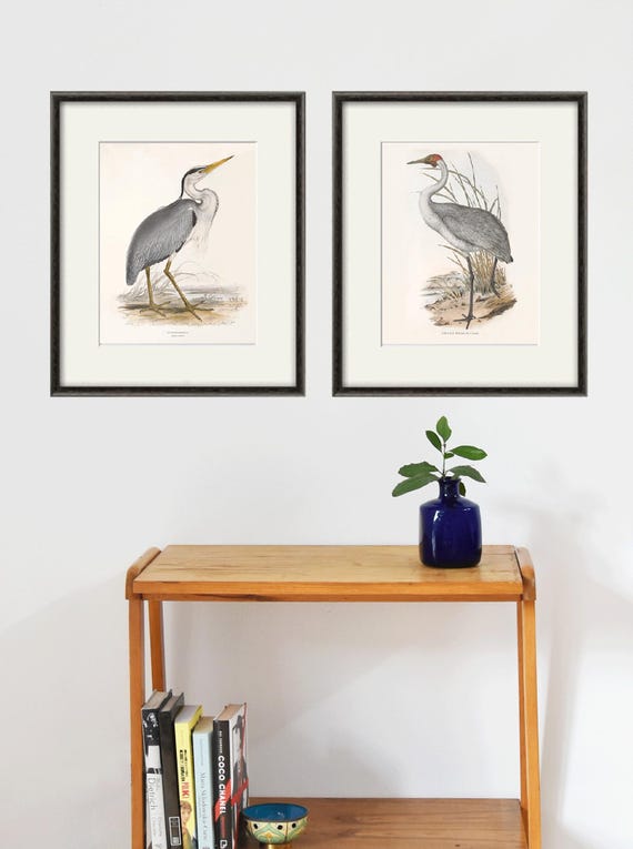 Antique Bird Print Set: Victorian Heron Poster Natural History Wall Art
