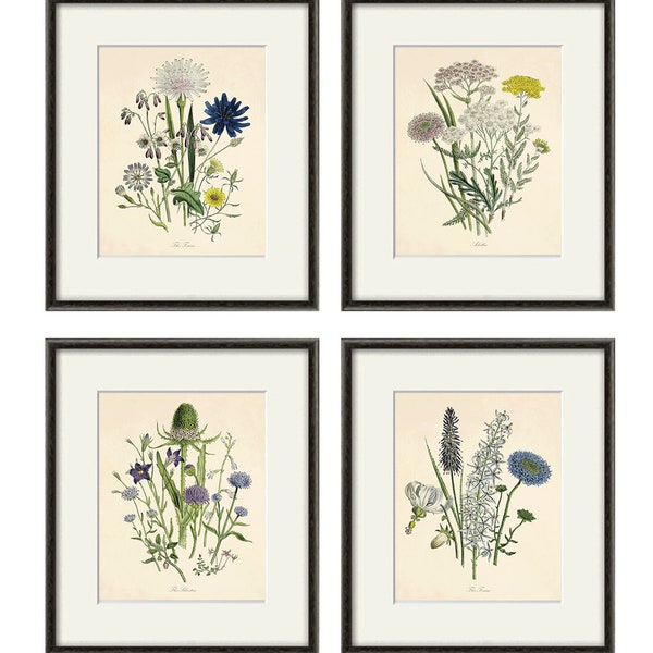 Antique botanical prints SET of 4 Botanical art prints flower prints wall art flowers botanical poster antique wall art home decor wall art