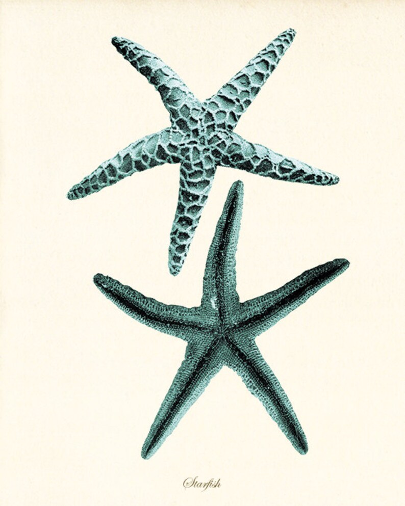 Blue Sea Coral Art Nautical Print Set Sea Art Print Vintage Etsy