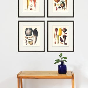 Plantaardige kunst print antieke botanische print groente print keuken kunst print antieke muur kunst keuken poster keuken wordt afgedrukt groente decor