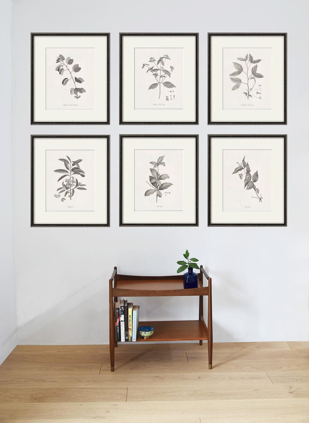 Vintage Botanical Print Set: Antique French Leaf Illustrations - Etsy
