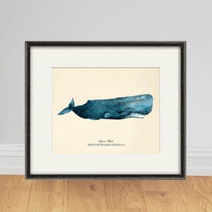 Antique Blue Whale Print: Victorian Nautical Wall Art