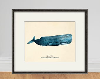 Antique Blue Whale Print: Victorian Nautical Wall Art
