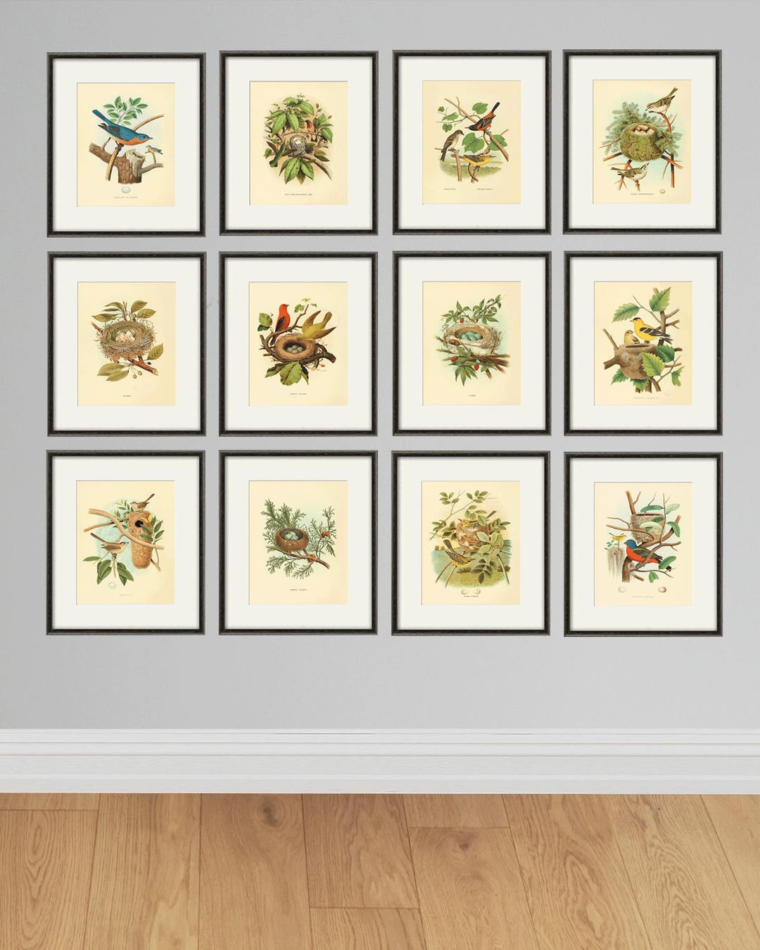 Antique Bird Prints Set of 12 Bird Art Print Vintage Garden Wall Decor ...