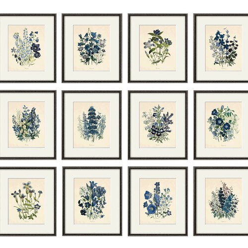 Shops Antique botanical prints SET of 12 Botanical art prints flower prints wall art flowers botanical poster antique wall art home decor wall art