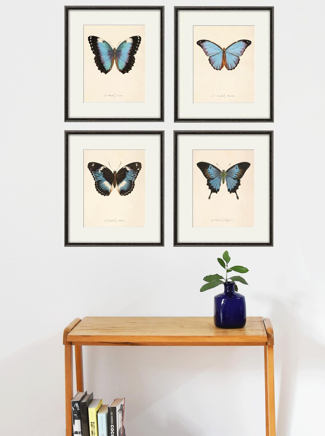 Antique Butterfly Print Set: Victorian Natural History Wall Art - Etsy
