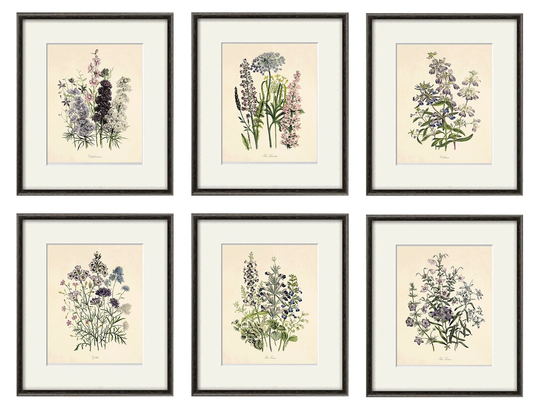 Antique Botanical Prints SET of 6 Botanical Art Prints Flower Prints ...