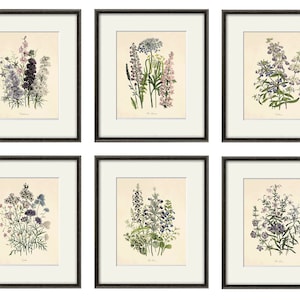 Antique botanical prints SET of 6 Botanical art prints flower prints wall art flowers botanical poster antique wall art home decor wall art