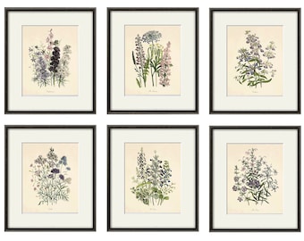 Antique botanical prints SET of 6 Botanical art prints flower prints wall art flowers botanical poster antique wall art home decor wall art
