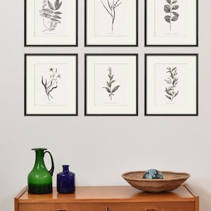 Antique botanical prints SET of 6 Botanical art prints flower prints wall art flowers botanical poster antique wall art home decor wall art