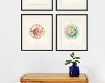Arte de medusas, impresión de arte costero, impresión náutica, decoración del océano, decoración de pared de playa, impresiones costeras, arte de playa, arte de pared costero vintage, arte oceánico