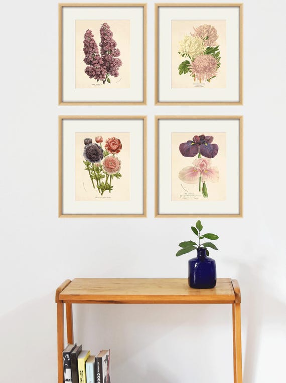 アンティーク ボタニカルアート