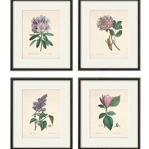 Antique botanical print Botanical art prints flower prints wall art flowers botanical poster antique wall art home decor wall art SET of 4