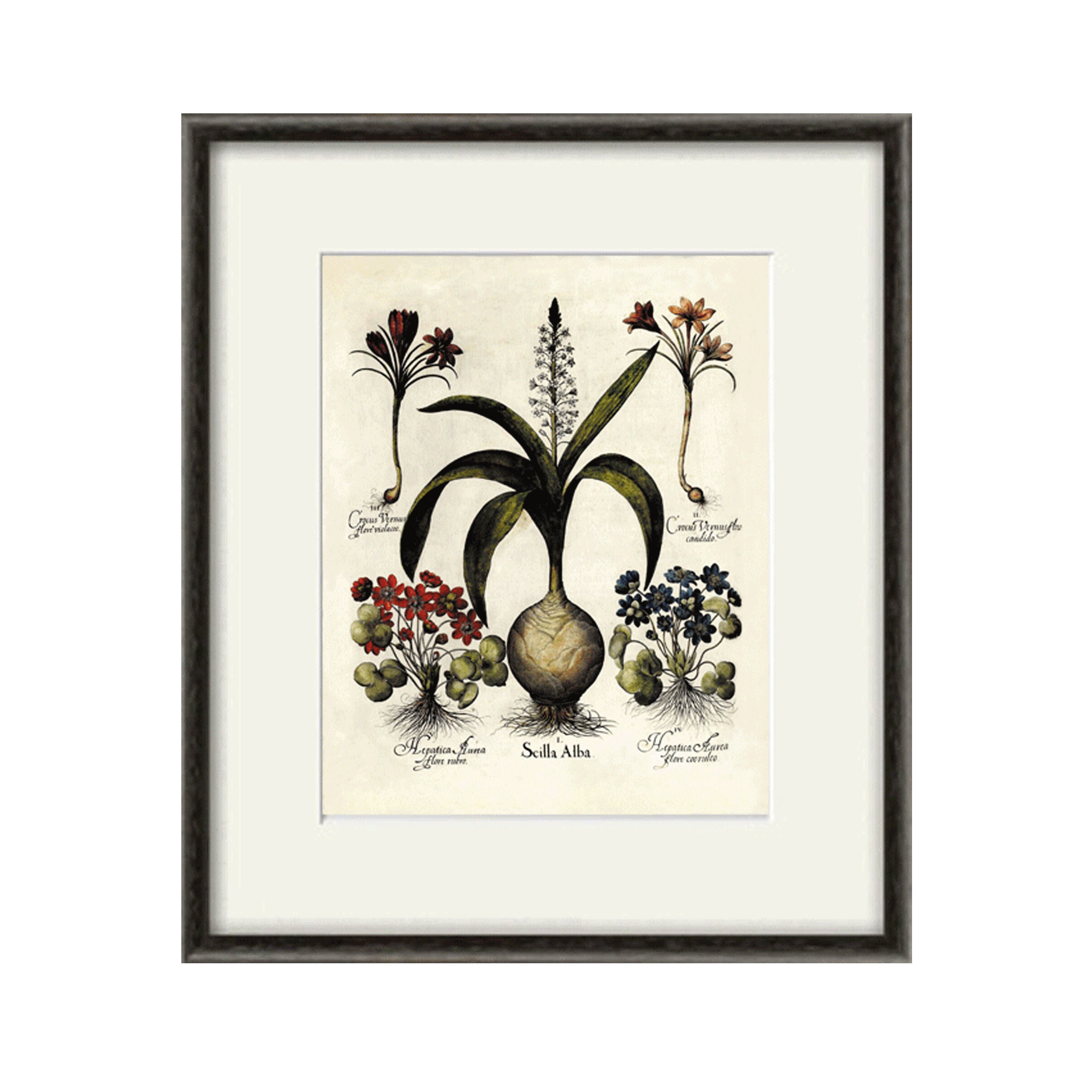 Hyacinth Art Antique Wall Art Flower Art Print Botanical Art Etsy
