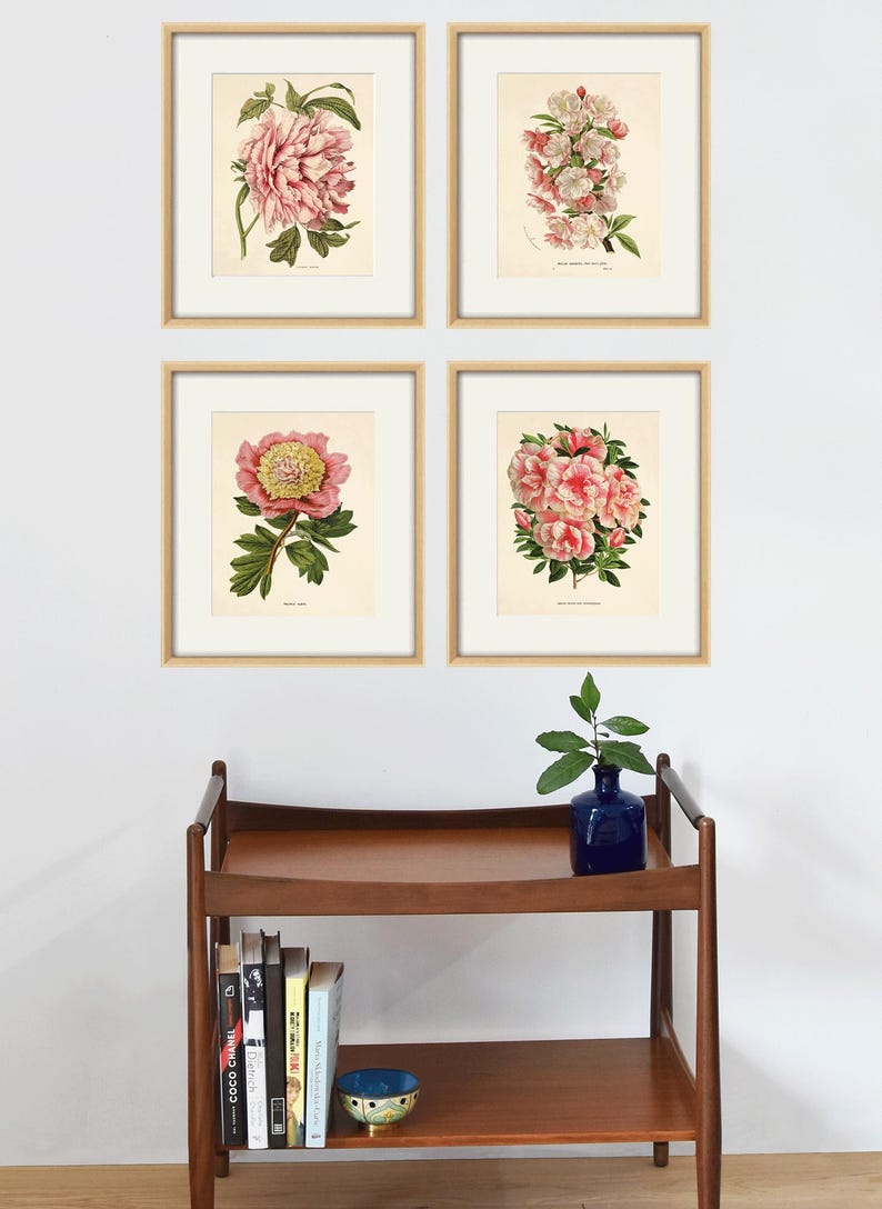 Pink Botanical Prints Set of 4: Vintage Victorian Flower Art - Etsy