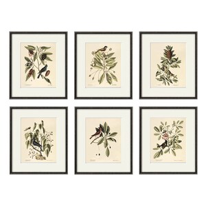 May include: Set of six framed botanical prints featuring detailed illustrations of various birds perched on branches with leaves and berries. The prints are in black frames with white matting, creating a classic and elegant aesthetic.