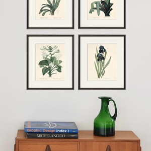 May include: Four framed botanical prints of flowers, including a blue agapanthus, a white crinum, a white lily, and a dark blue iris. The prints are hanging on a white wall above a wooden dresser with a green glass vase and two books.