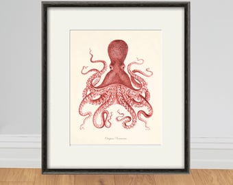 Antique Red Octopus Print: Vintage Kraken Nautical Wall Art