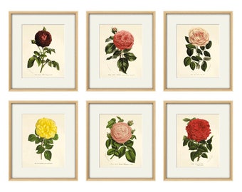 Rose art Vintage flower art print antique wall decor Flower decor botanical prints Garden print Victorian art French decor Cottage wall art