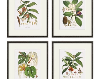 White flower art Botanical Print Set of 4 Antique flower art print antique wall art Flower decor Garden print Victorian art Cottage wall art