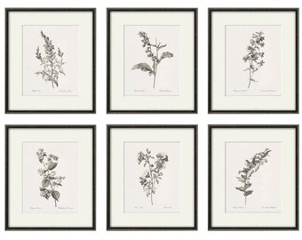 Antike botanische Drucke, 6er-Set, botanische Kunstdrucke, Blumendrucke, Wandkunst, Blumen, botanisches Poster, antike Wandkunst, Heimdekoration, Wandkunst