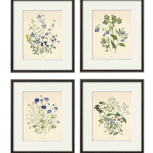 Blue botanical prints vintage flower art Cottage wall art Victorian print French wall art antique wall art Flower print Garden art print