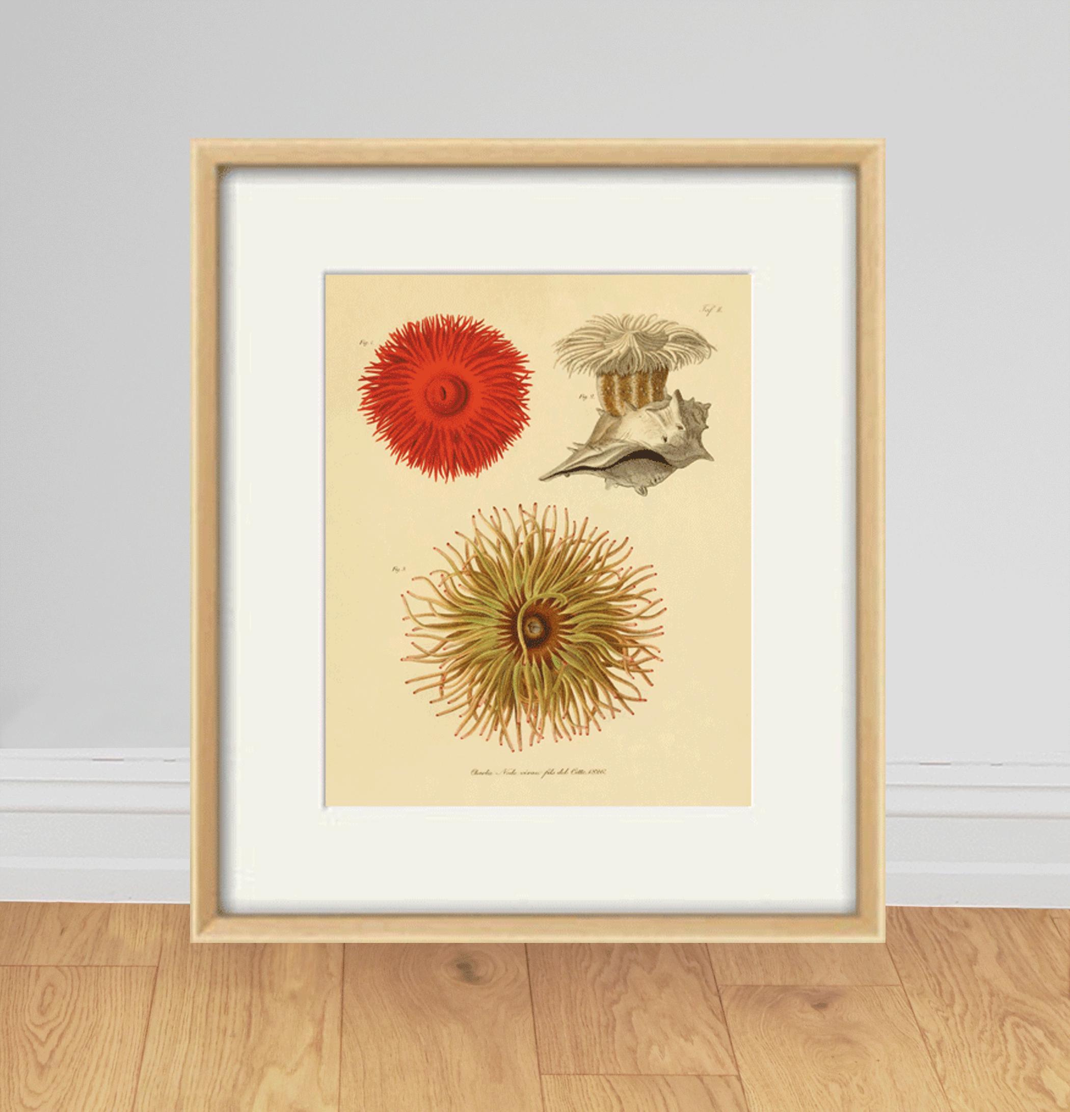 絵画 anemone fddaa0d95b739aa435a89a20f66665