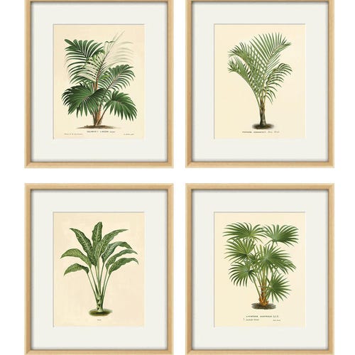 Palm Tree Art Print Antique Botanical Art Prints Home Decor Etsy