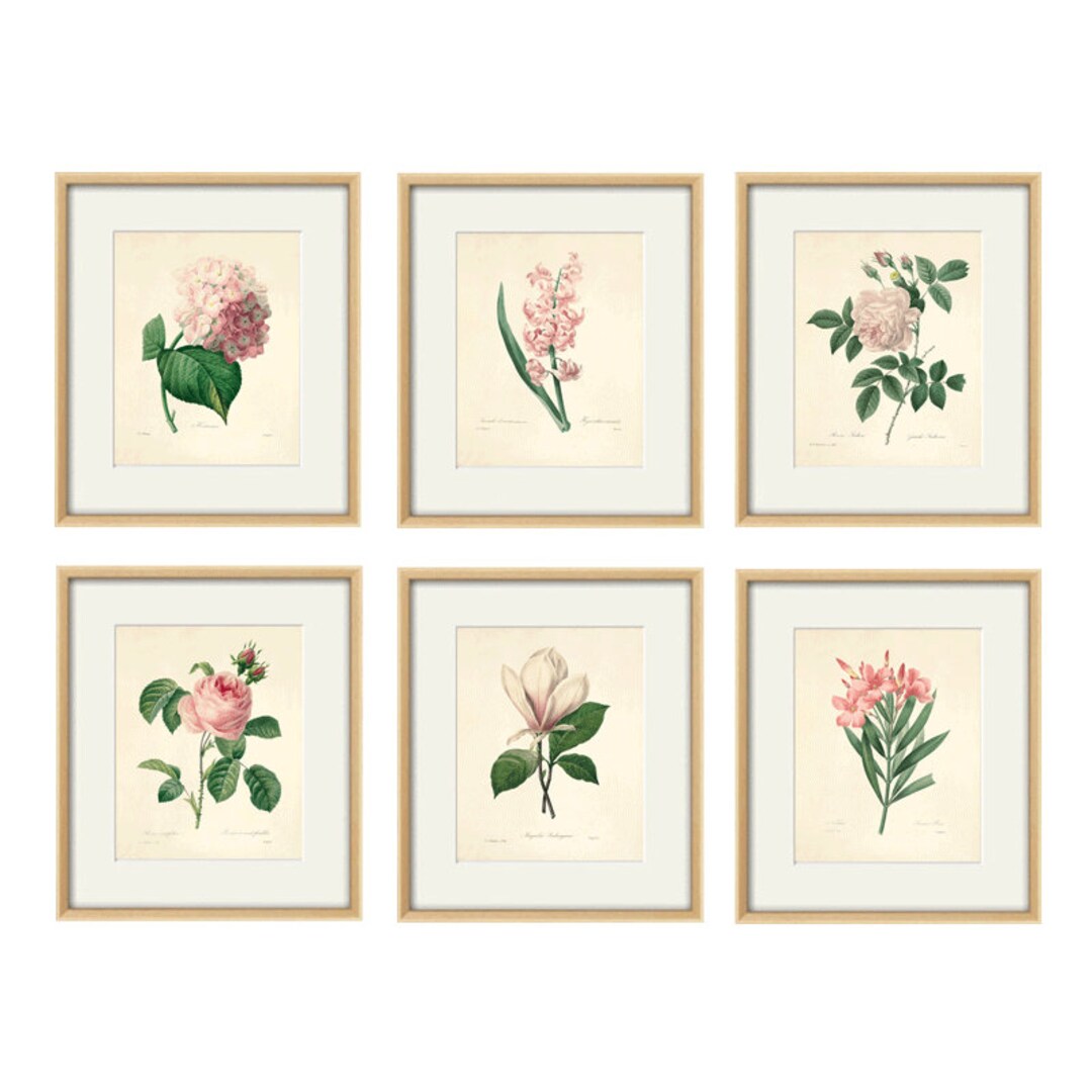 Antique Flower Art Print Set Antique Prints Pink Botanical Prints ...