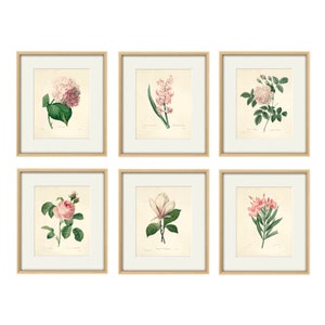 Antique flower art Print set antique prints pink botanical prints flower wall art Victorian art French prints old prints garden wall art