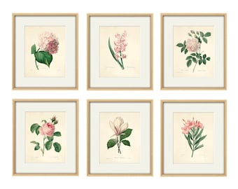 Antique flower art Print set antique prints pink botanical prints flower wall art Victorian art French prints old prints garden wall art