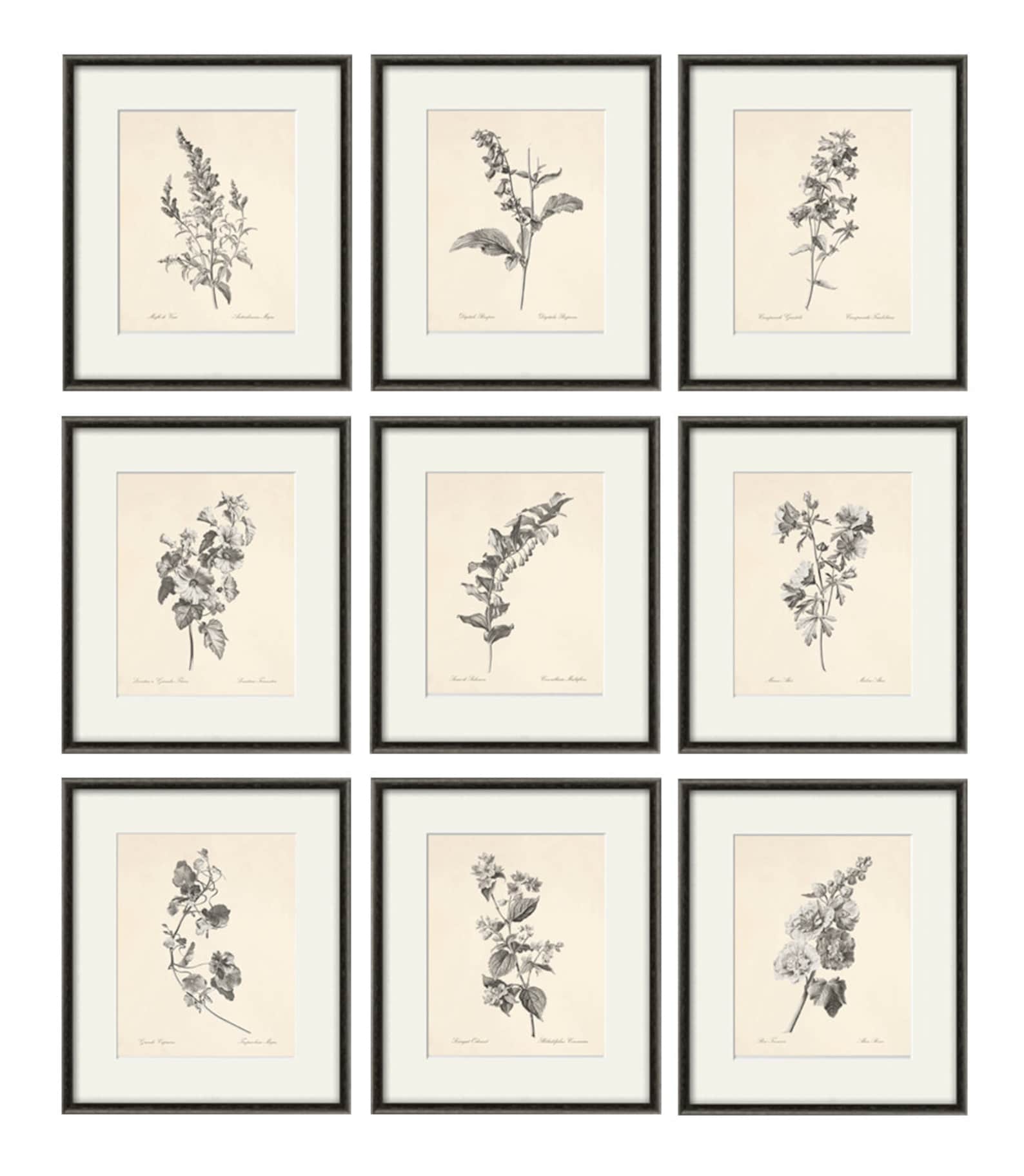 Antique Botanical Prints SET of 9 Botanical Art Prints Flower Etsy