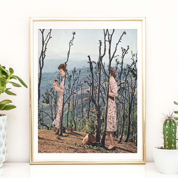Quirky Wall Art - Etsy