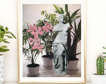 Plants print, Botanical Illustration, Plants Print Illustration, Indoor Plants, Botanical Print, Cactus Print, Terrarium Print