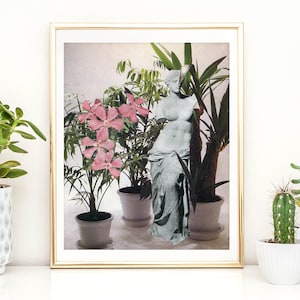 Pflanzen Druck, Botanische Illustration, Pflanzen Druck Illustration, Zimmerpflanzen, Botanische Druck, Kaktus Druck, Terrarium Druck