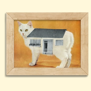Impression de chat blanc - Cadeau petit chat - Le chat est à la maison - Impression d'art 5 x 7 - Impression d'aquarium de plage- Art de collage