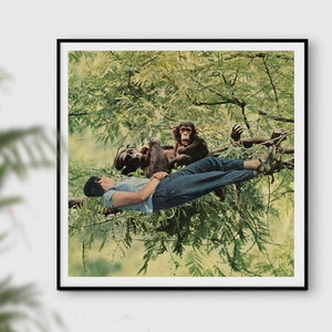 Monkey print, monkey gift, Human Evolution Wall Art, Evolution of Man, Monkeys, Green poster, Tree prints