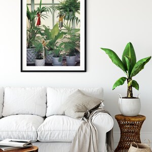 Plants prints, Botanical art, Indoor plants, Large wall art, Extra large wall art, Large print, Wall art prints, Large prints image 2