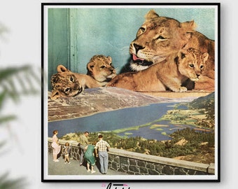 Impression de lion, art mural lion, animal d'Afrique de safari, photo de lion, impressions rétro art mural moderne, décoration de chambre d'enfant, art imprimable