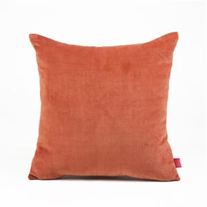Rust velvet pillow cover,  autumn colour, fall colour pillow, cotton and linen pillow, reversible,sizes available