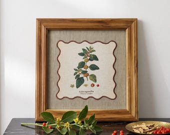 HERB wall art, Ashwagandha motif with wooden frame, 12X12 inches