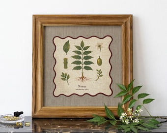 HERB wall art, Neem motif with wooden frame, 12X12 inches
