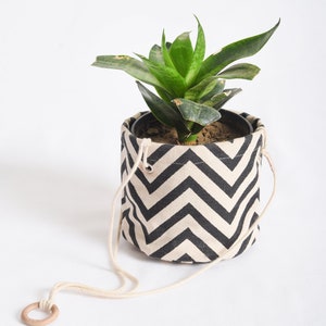 May include: A green plant with long, pointed leaves in a black and white chevron patterned hanging planter with a white rope.