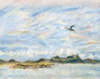 Original Art ~ Ocean Art ~ Seagull Original Pastel Drawing
