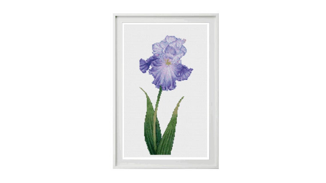 Iris Cross Stitch Pattern PDF Instant Download Flower Etsy