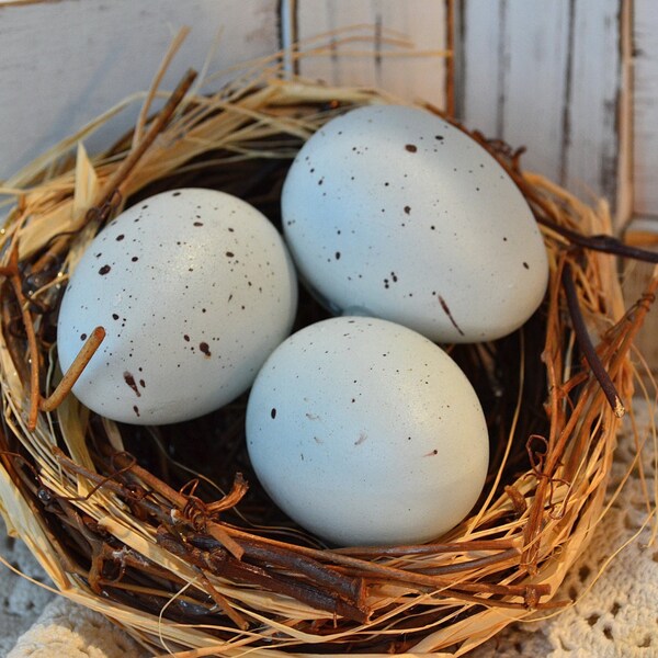 Decorative Spring Egg Nests Robin's Egg